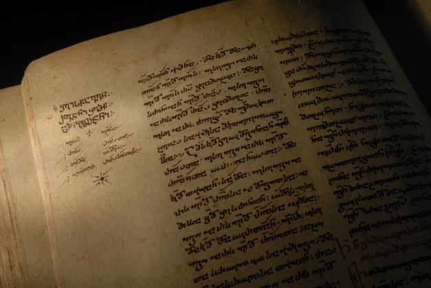 ბანერი 3