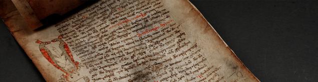 ბანერი 1